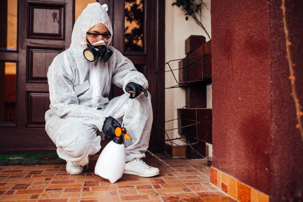 Reliable Ant Control contractor in Milford, NJ by Nex Pest Control