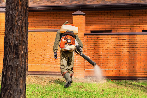 Trusted Cockroach Control service in Milford, NJ - Nex Pest Control
